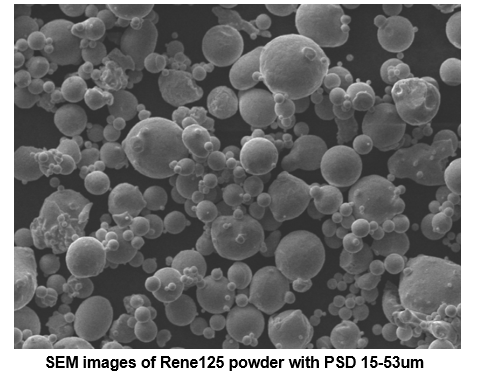 Rene 125 powder SEM images