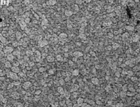 7075 metal powder china supplier
