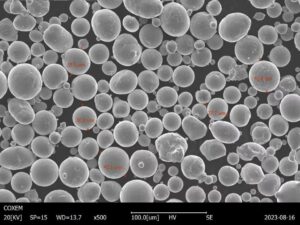904L stainless steel powder SEM photo