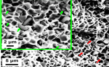 alloy powder china supplier